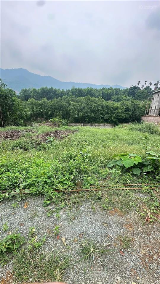 160m full thổ cư tiến xuân, thạch thất | tài chính vừa tầm