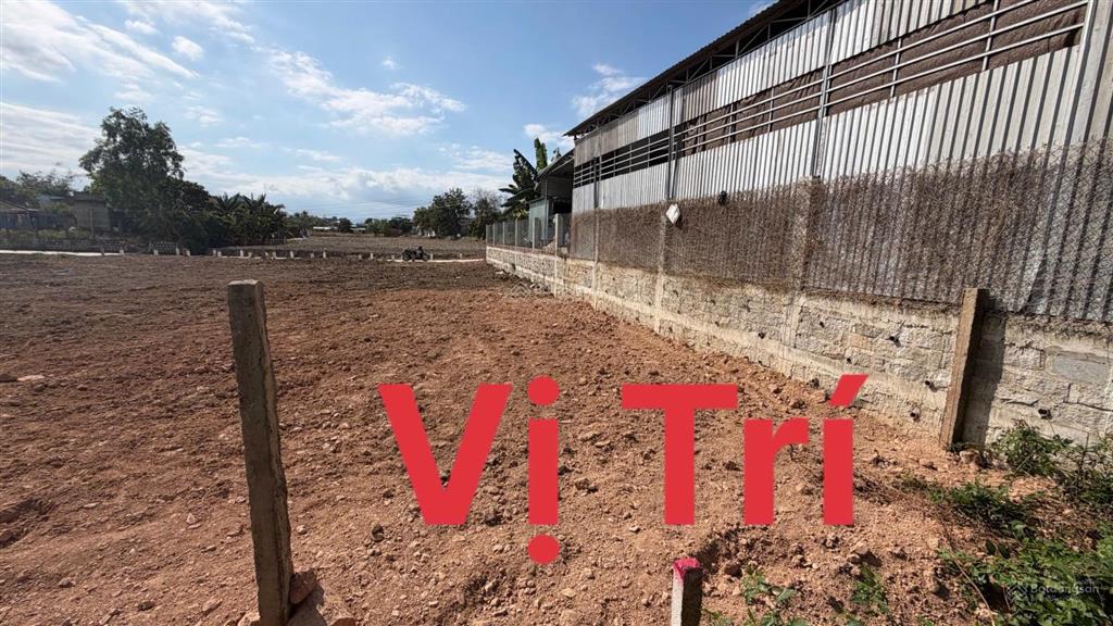 Bán đất trung tâm ninh hiệp, p. ninh hoà chính chủ kẹt bán 168m2 gần vincom, hơn 1tỷ600