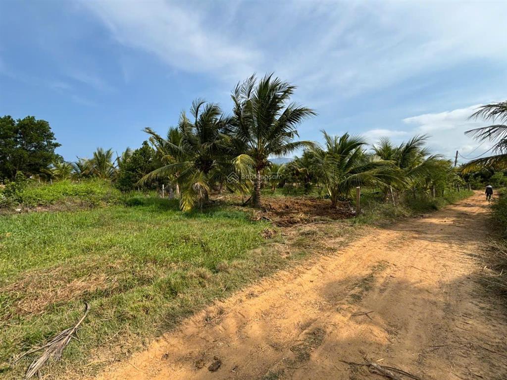 Bán lô đất full thổ tiềm năng đầu tư  gần khu công nghiệp & đường ven biển