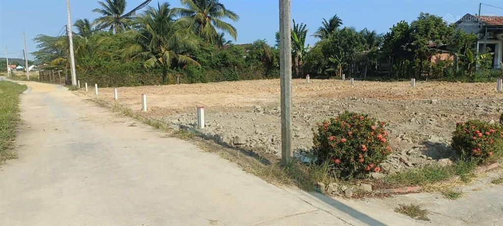 Chính chủ tôi cần bán 92,7m2 đất full thổ tại phường ninh hoà 350tr sổ sẵn