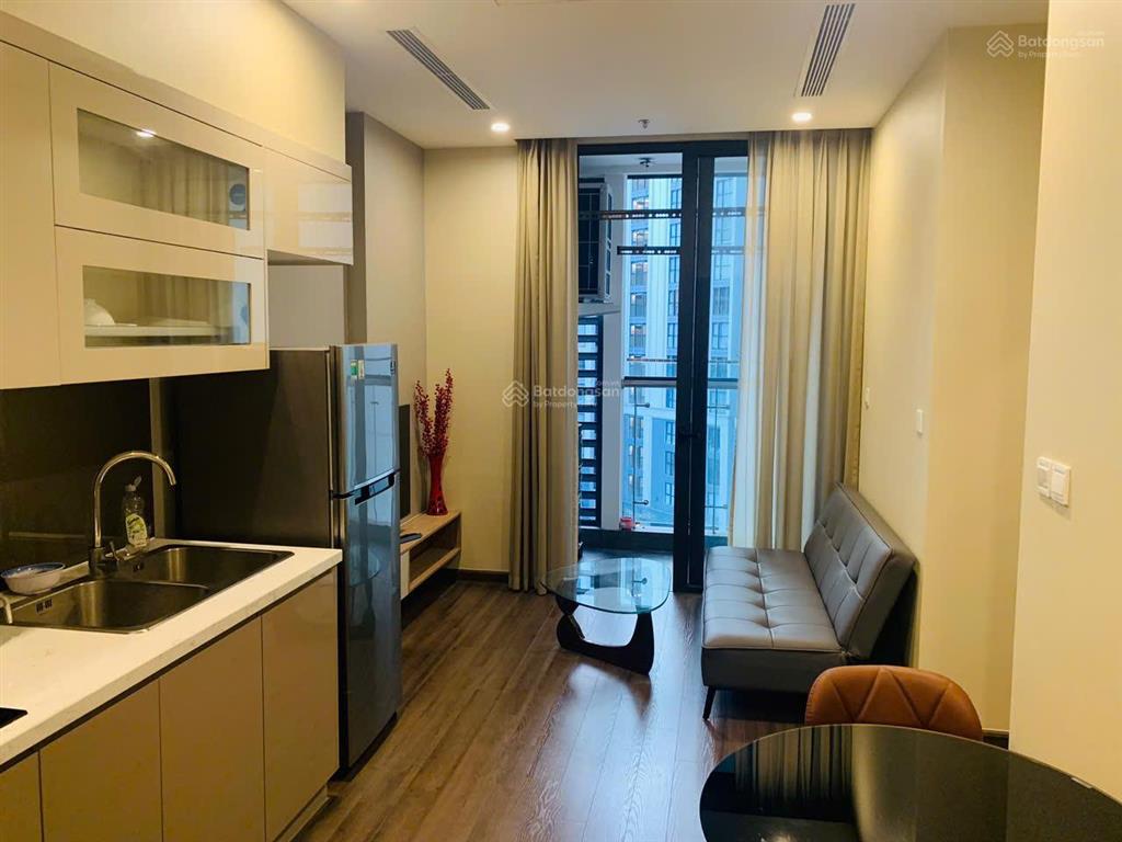 Cho thuê căn hộ 1n symphony vinhomes riverside