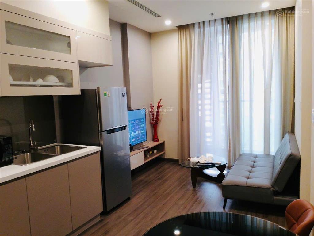 Cho thuê căn hộ 1n symphony vinhomes riverside