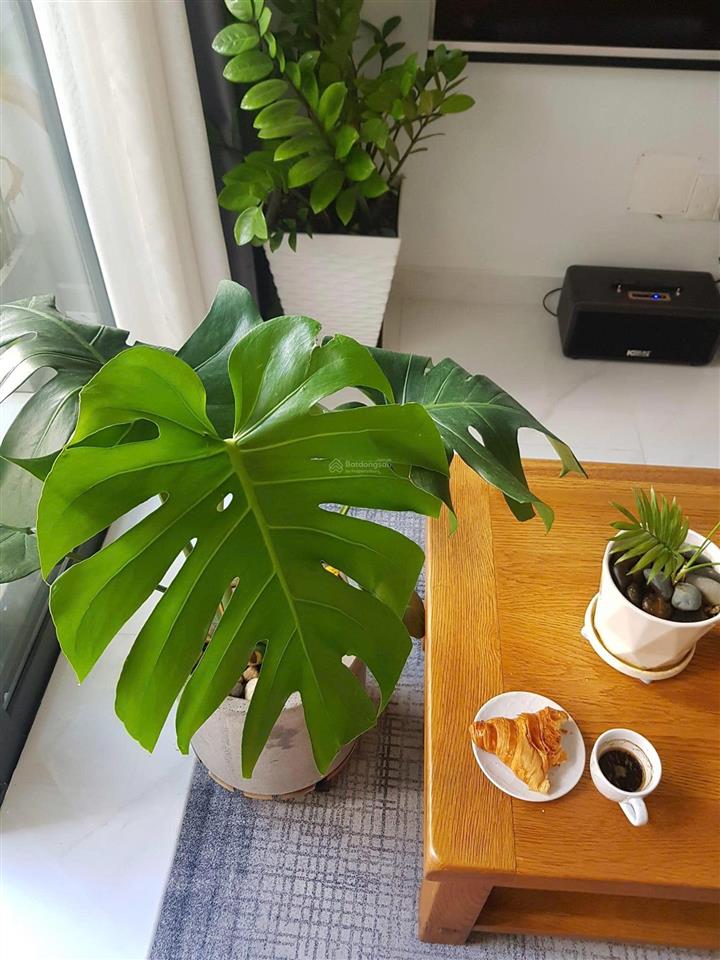 Bán cc lovera vista, 3,15 tỷ, 65m2, 2pn, 2wc, full nội thất sổ tươi bao vay