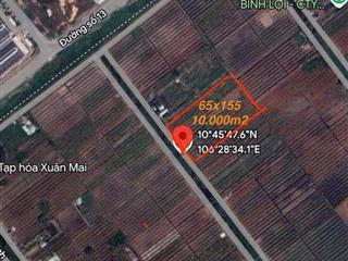 Bán Đất Đường Kênh 1 - Bình Lợi - HCM Diện Tích 10.000m2 Giá 3tr/m2