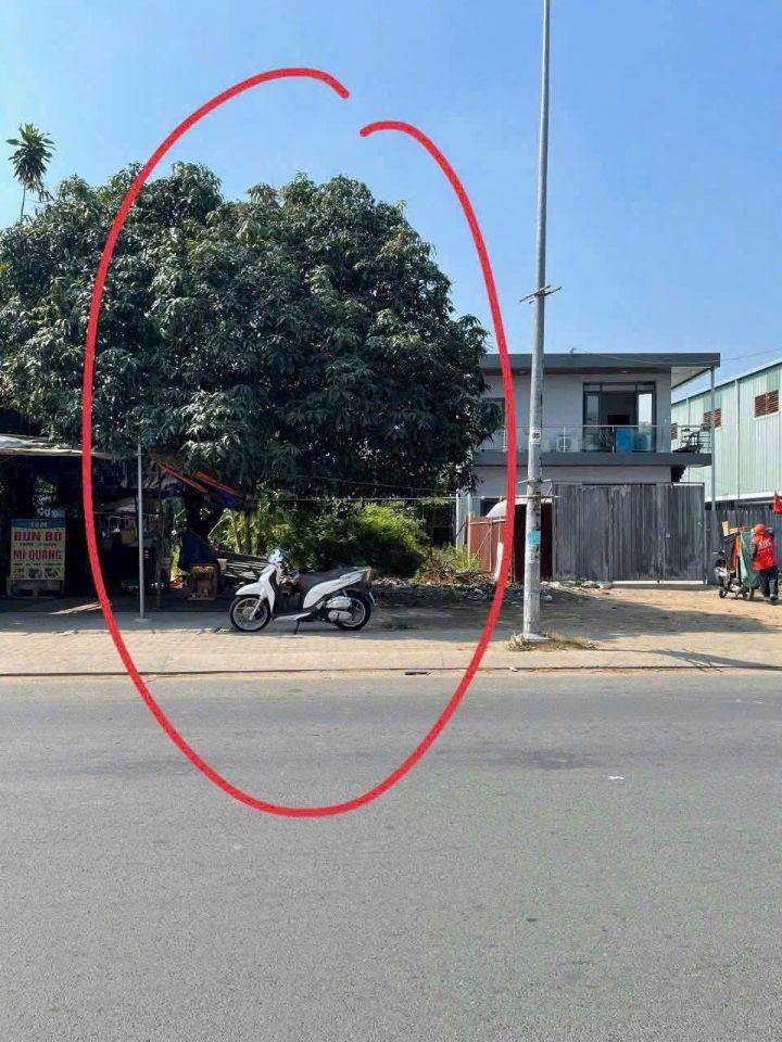 Bán Đất Mặt Tiền Lại Hùng Cường Gần Võ Văn Vân 6 x 40m Giá 12 Tỷ