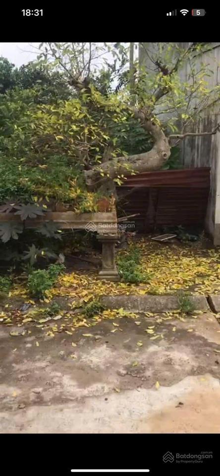 Bán đất đấu giá vũ ngoại, liên bạt, ứng hòa, 85.9m2, mt 5m, chỉ 30m ra đường 21b, giá 45tr/m2