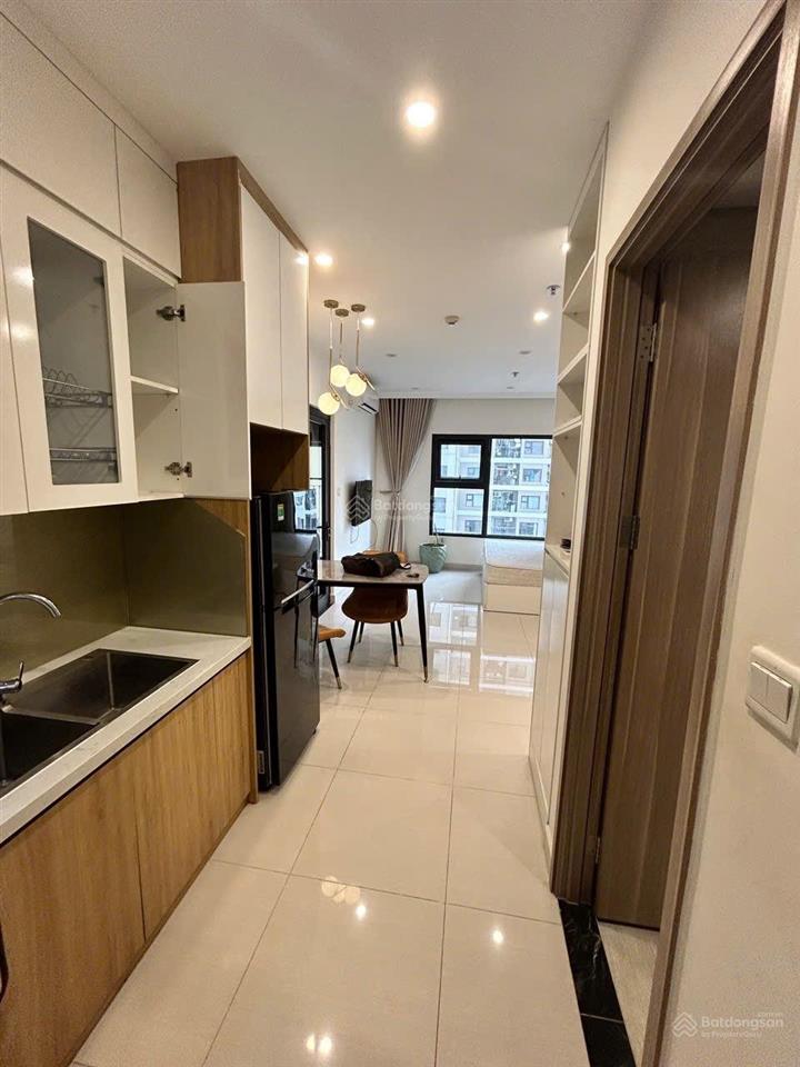 Bán căn hộ studio diện tích rộng, 1wc tại vinhomes smart city, 2,5 tỷ, 32m2