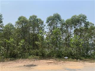 Bán 4ha đất ở hỗn hợp  vị trí vip nhất tam nông