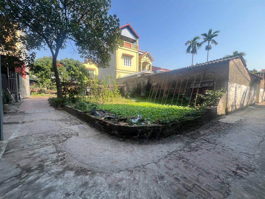 BÁN 52M LÔ GÓC ĐAN PHƯỢNG - GẦN HỒ ĐIỀU HÒA - NHỈNH 3 TỶ