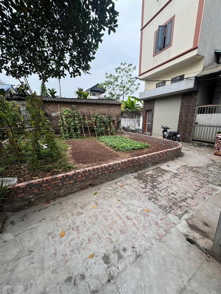 Chính chủ em cần bán 52m2 lô góc đan phượng  chỉ hơn 3 tỷ đồng
