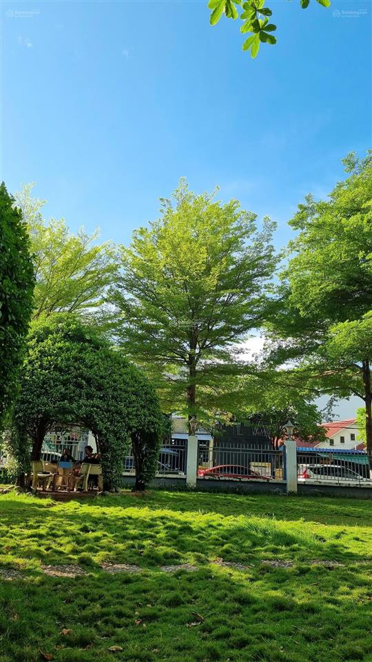 Cần cho thuê căn hộ chung cư dream home, gò vấp 69m2 nội thất full