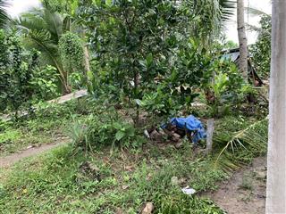 Bán đất thới phong ô môn, cần thơ