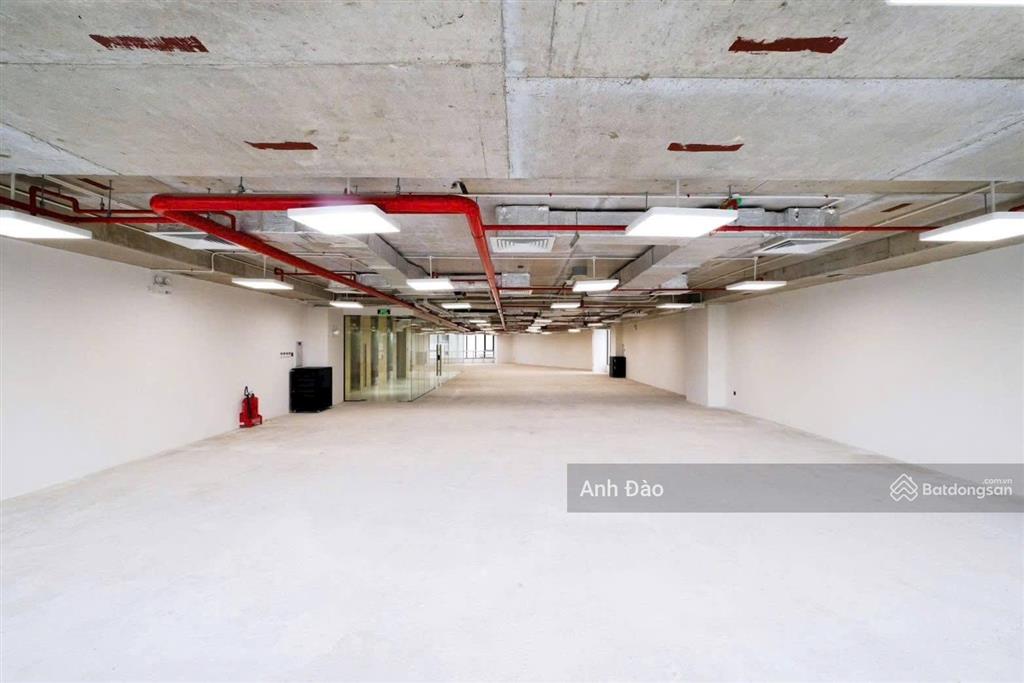 Vị trí đắc địa  tòa nhà mặt tiền trần hưng đạo, phường 2, quận 5 ngay nguyễn văn cừ