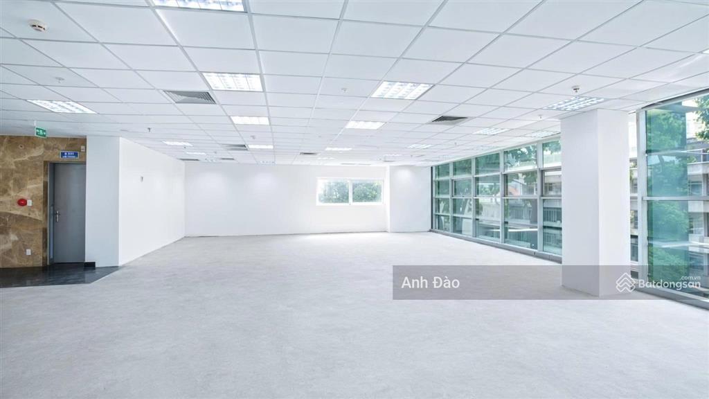 Tòa nhà mới xây mặt tiền sư vạn hạnh, quận 10, ngay tuyến ba tháng hai