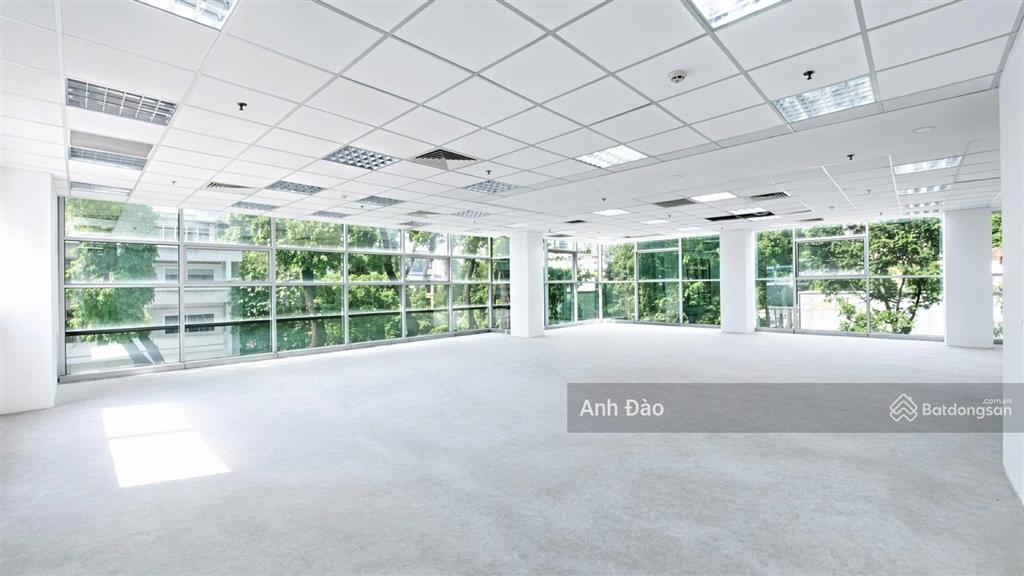 Tòa nhà mới xây mặt tiền sư vạn hạnh, quận 10, ngay tuyến ba tháng hai