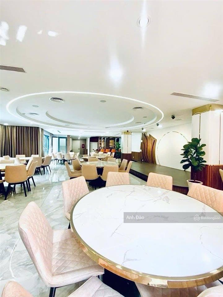 Biệt thự sân vườn huỳnh văn bánh phú nhuận gần nguyễn văn trỗi