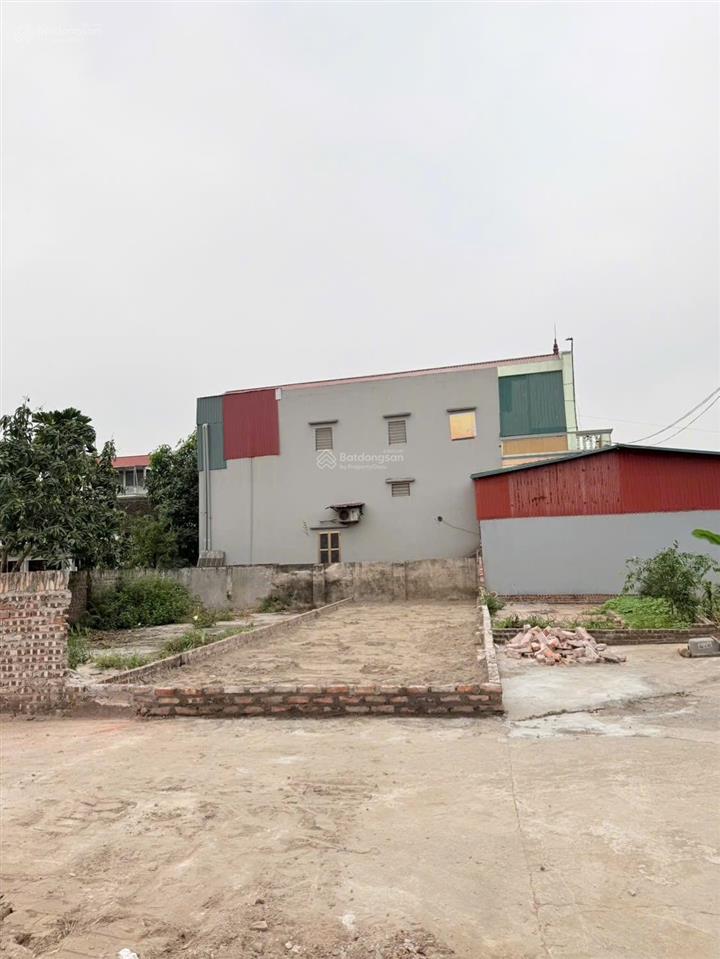 Rẻ vô địch kiêu kỵ xuống tiền là thắng ngay 2026