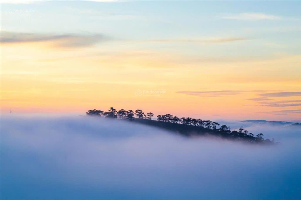 Chính chủ bán lô đất vị trí đẹp, trung tâm đà lạt, ngay ngã ba, view săn mây, giá tốt
