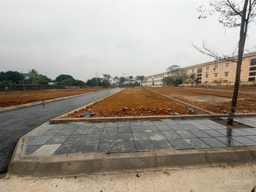 Chính chủ bán lô góc 156m2 full thổ cư