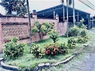 Bán đất nghỉ dưỡng tặng nhà vườn cực đẹp phước hải. dt 2070m2  ngang 20mx100mra biển 5pgiá 5tyx