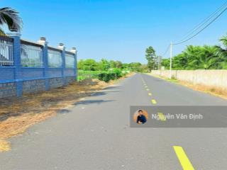 Cần tiền bán công chứng sớm 1168m2  phước hải(long mỹ)  hcm. có 12,4m mặt tiền nhựa, nở hậu 15,9m