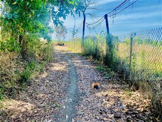 Hơn 1 mẫu đất nông nghiệp tp hcm( long tân  brvt cũ) giá chỉ 3ty3