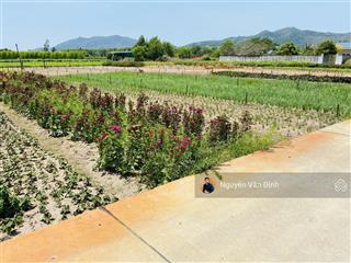 Phước hải( long mỹ) tp hcm
lô góc 2 mặt tiền bê tông xe hơi,dt125m25mx25m100 thổ cưgiá 1ty150