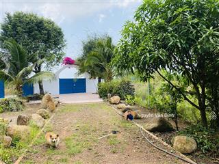 Chủ cần tiền bán rẻ nhà vườn xã biển phước hải dt 1400m2 có 18m mặt tiền nhựa, nở hậu 35m300tc