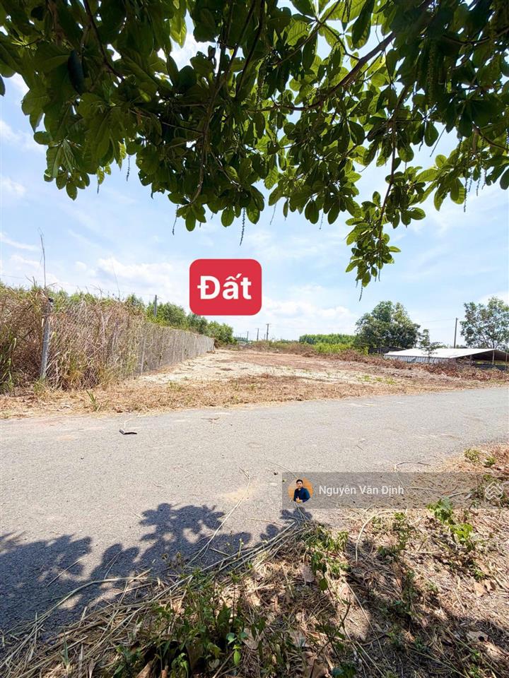 Chủ kẹt bán rẻ chỉ 1ty350 sở hữu 420m2 11mx41m có 200 thổ cư sổ sẵn, ngay cạnh đường nguyễn huệ