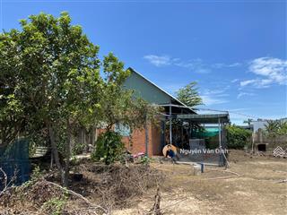 3ty7 sở hữu 1000m2 biển phước hải view núi thơ mộng, sẵn nhà vườn nhỏ