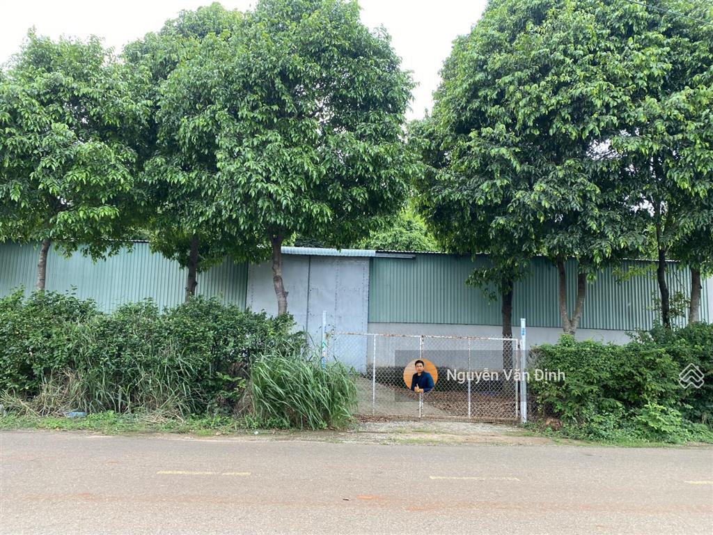 Gần 3 sào, có 100m mặt tiền nhựa sau lưng chợ long tân phường đất đỏ có 400m2 thổ cư sẵn kho xưởng