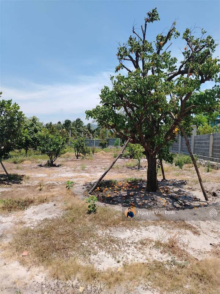 Chỉ 3 tỷ 1sào. có 5.757m2 có 400m2 thổ cư đất trung tâm xã long mỹ cũ nay xã phước hải