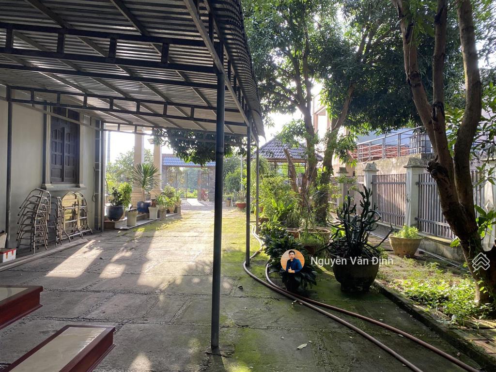 Siêu phẩm biệt thự nhà vườn ven biển phước hải diện tích 2.582m2, mặt tiền 17m, 200 thổ cư  7,5 tỷ