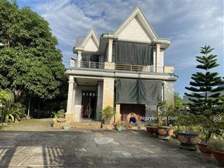 Siêu phẩm biệt thự nhà vườn ven biển phước hải diện tích 2.582m2, mặt tiền 17m, 200 thổ cư  7,5 tỷ