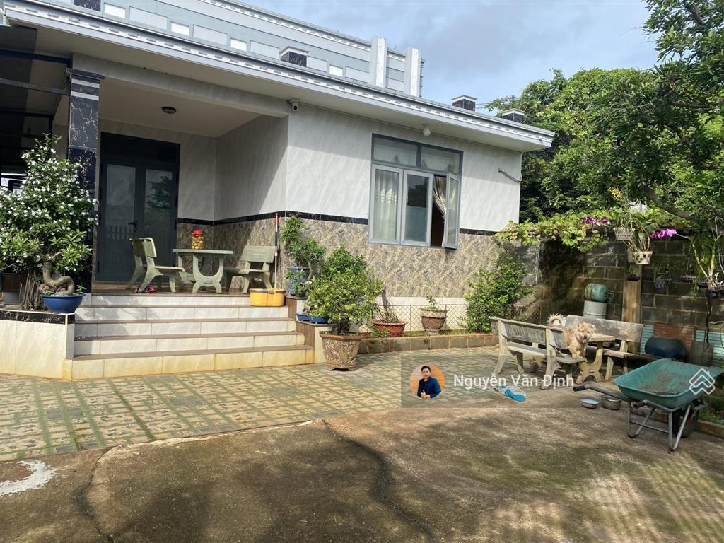 Chỉ 2 tỷ 9 sở hữu căn nhà đẹp 500m2 tại thị trấn phước hải, ngang 12m mặt tiền, sổ sách đầy đủ