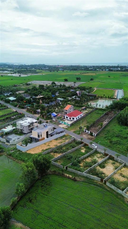 Khu cafe & homestay đồng gió phước hải ngày càng đẹp.
dt 925m2 (14 x 66m), 80m2 thổ cư.5ty2