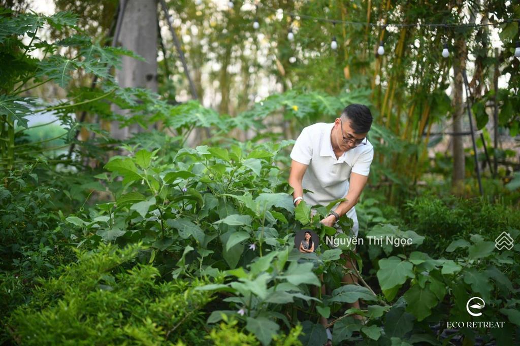 Sở hữu ch 2pn onsen nhật chỉ với vốn 25% ký hđmb, hỗ trợ vay 70% đặc quyền ân hạn gốc + lãi 24th