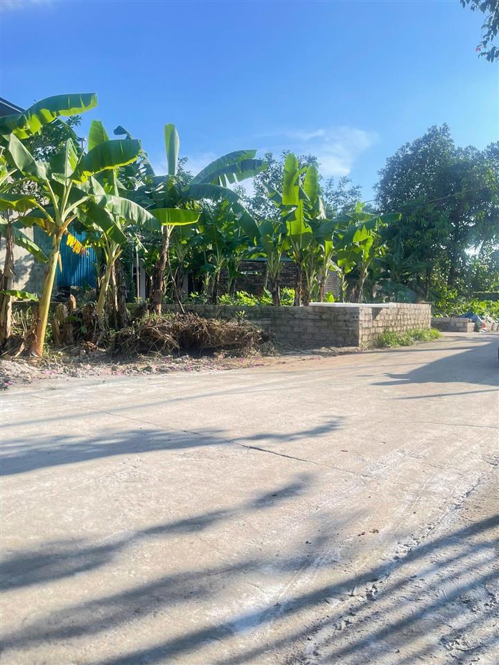 Hàng fo bán lô đất xã phú nghĩa full thổ cư chỉ hơn tỷ