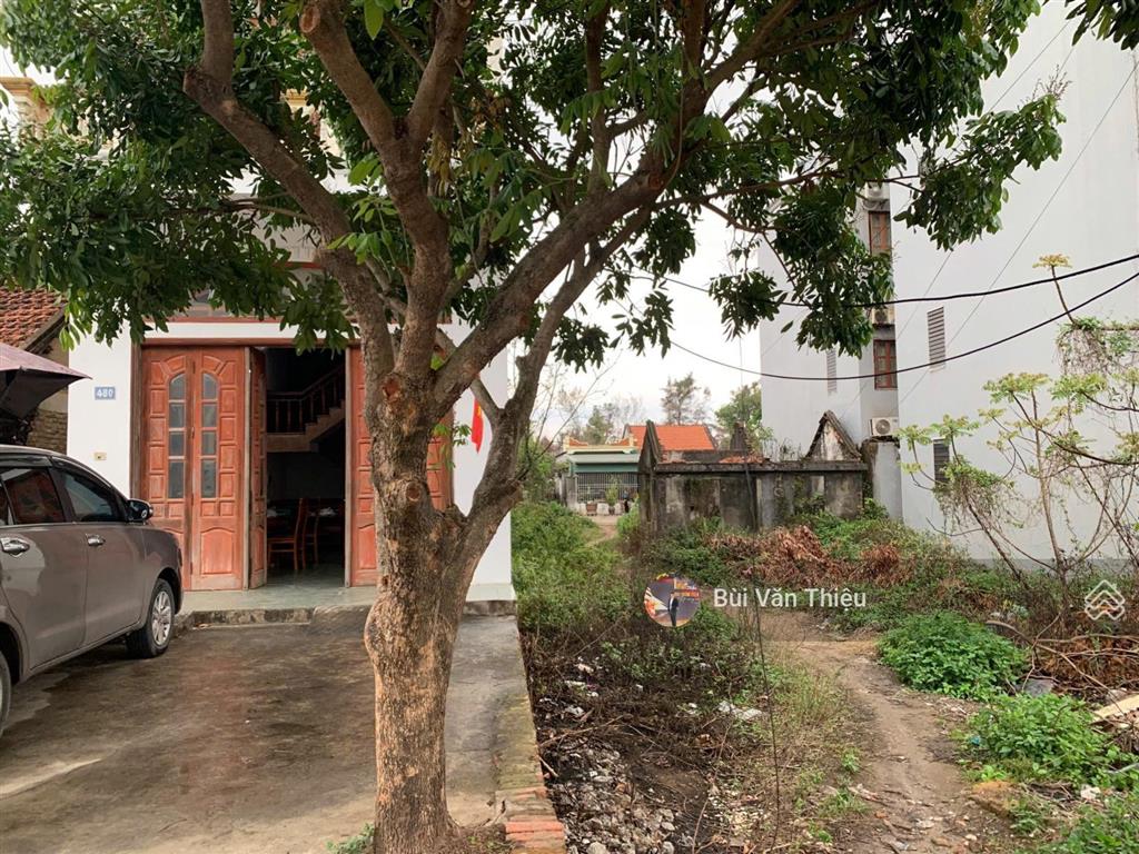 Bán đất nền khu du lịch trà cổ  móng cái  196m²  ngang 10m