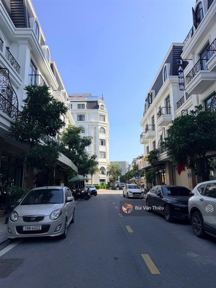 Hoàng huy mall  nguyễn tất tố