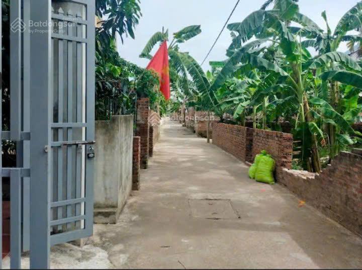 Nhà đất homestay kề vin, dòng tiền cho thuê hàng tháng. ls 8% năm.