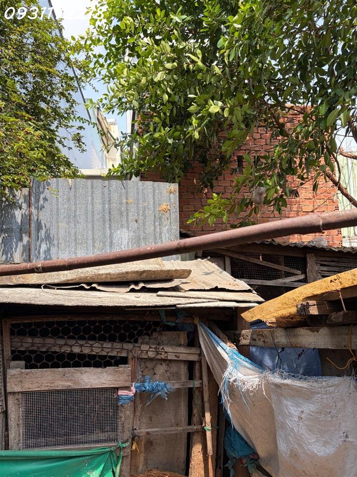 Bán nhà mặt tiền Bông Sao 160m2 xây dựng cao tầng chỉ 12 tỷ 9, Gọi 0931172218