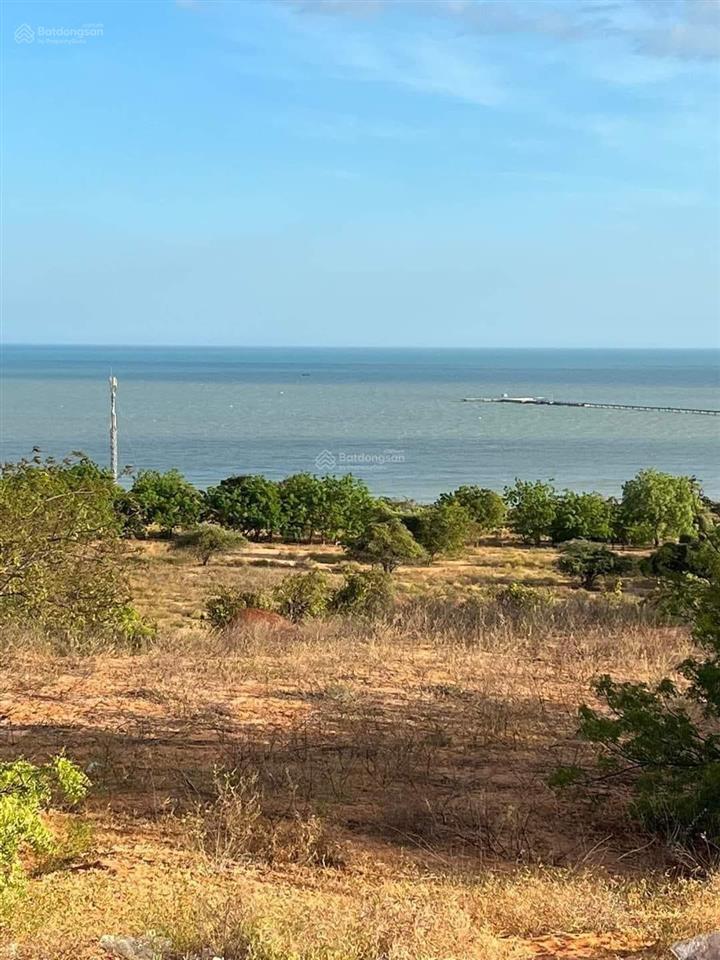 Bán 19 hecta đất mặt tiền nhựa đường 716b xã hòa phú  gần khu du lịch bàu trắng bình thuận