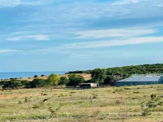 Cần bán đất mặt tiền 716b  gần ga phan rí  bình thuận (đường sắt cao tốc)