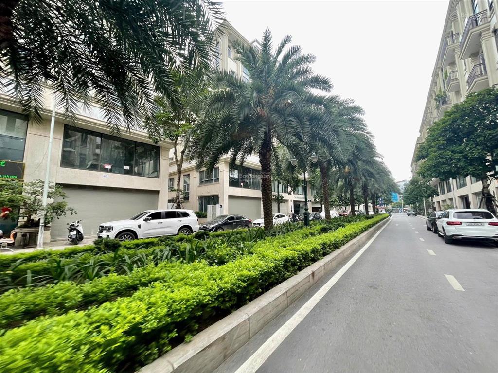 Cho thuê liền kề him lam vạn phúc tố hữu hà đông