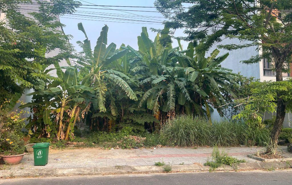 🔥 ĐẤT BÙI THIỆN NGỘ – HÒA XUÂN – ĐƯỜNG 7M5 – GIÁ 6.35 TỶ! 🔥