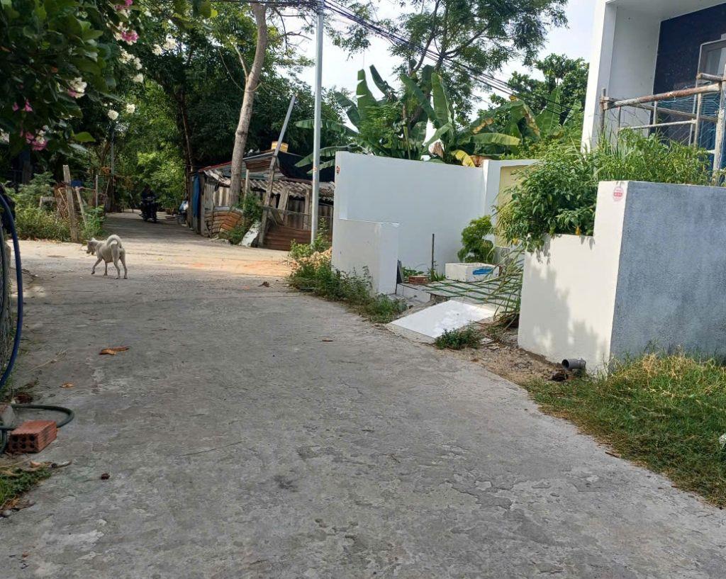 🔥 BÁN ĐẤT HÒA QUÝ – 100M² CHỈ 2,X TỶ 🔥