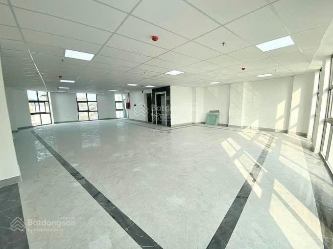 Thật 100% rẻ nhất 180 triệu/m2 trừ xây 8x38m. nở 304m2 hầm 7 lầu mt phan đăng lưulê quang định