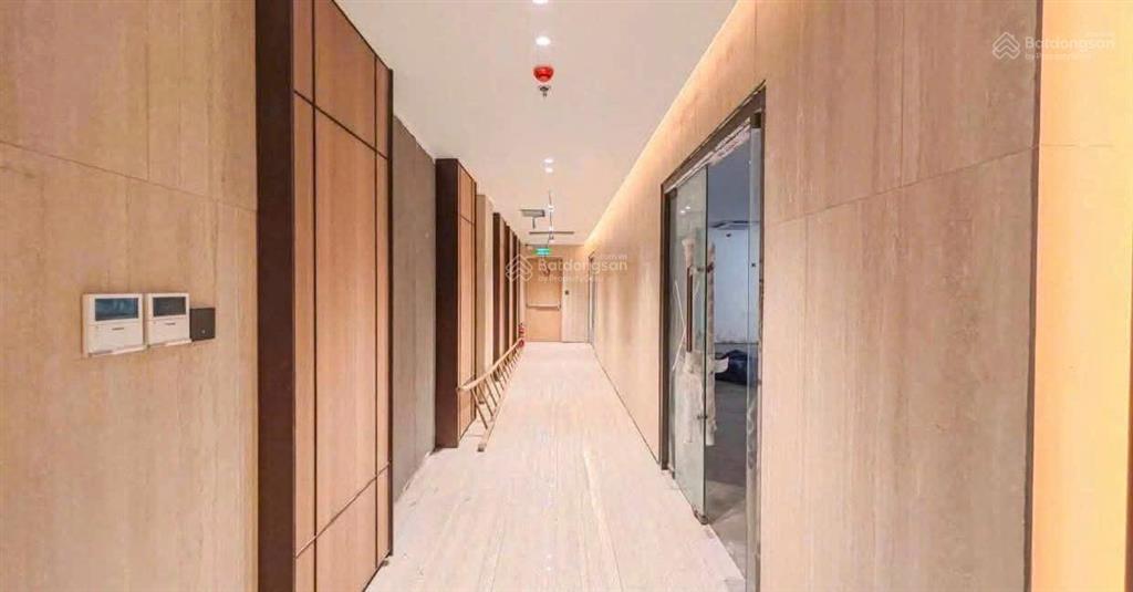 Thật 100% thu khoán 290 triệu/tháng 12x21. cn250m2 hầm 7 lầu khu tú xương  hồ xuân hương p6 q3