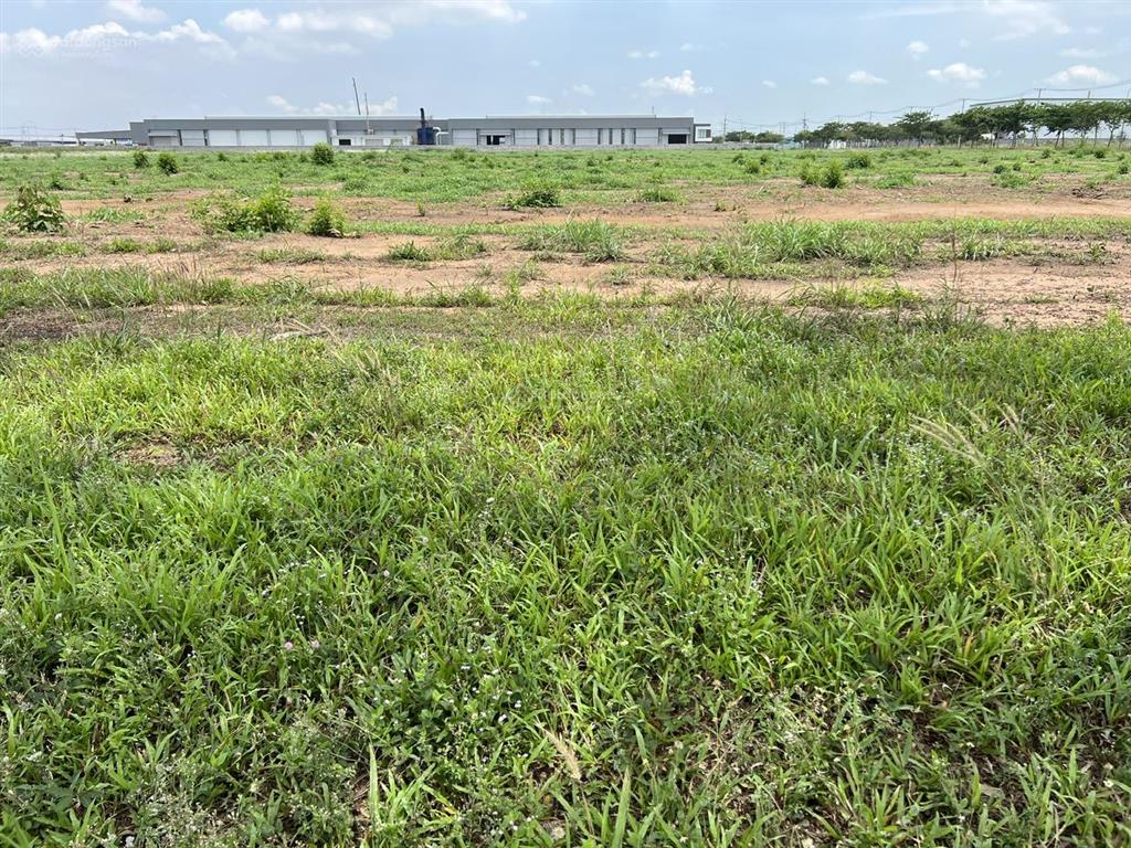 Bán đất (skc) xây dựng xưởng 31.000m2 giá rẻ chỉ 137 tỷ. kcn trảng bom  đồng nai 0937 980 ***
